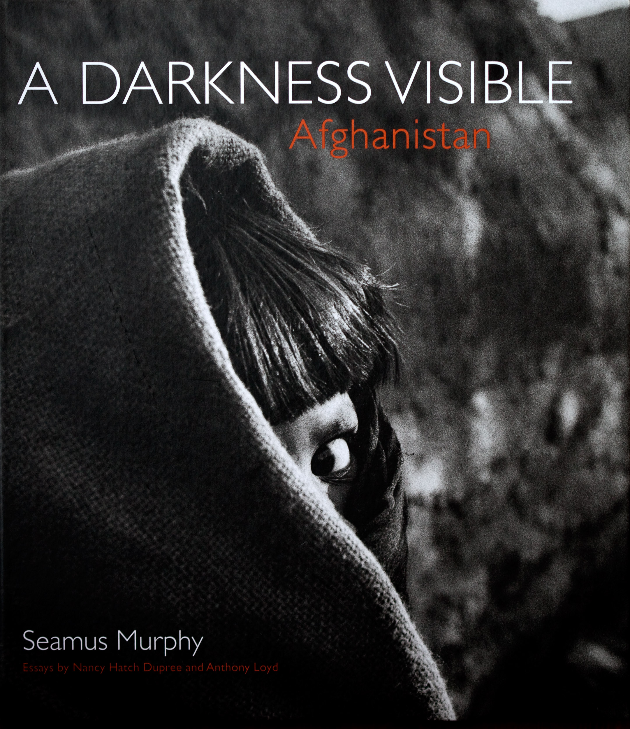 Darkness Visible Cover